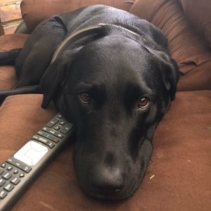 Meet your Posher, Nina